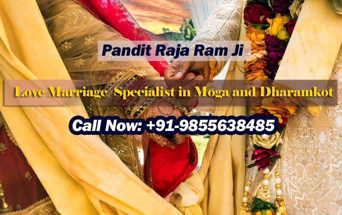 Love Marriage Specialist in Moga and dharamkot